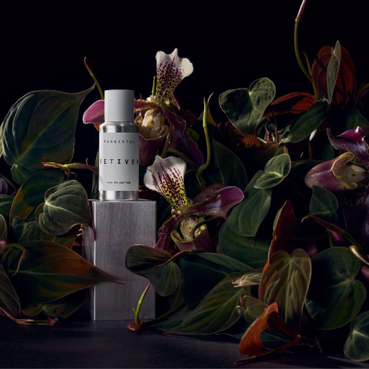 TangentGC - Profumo Vetiver EdP - 50 mL