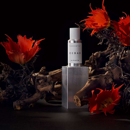 TangentGC - Profumo Cedar EdP - 50 mL