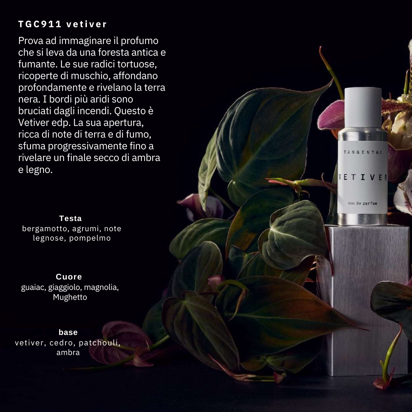 TangentGC - Profumo Vetiver EdP - 50 mL