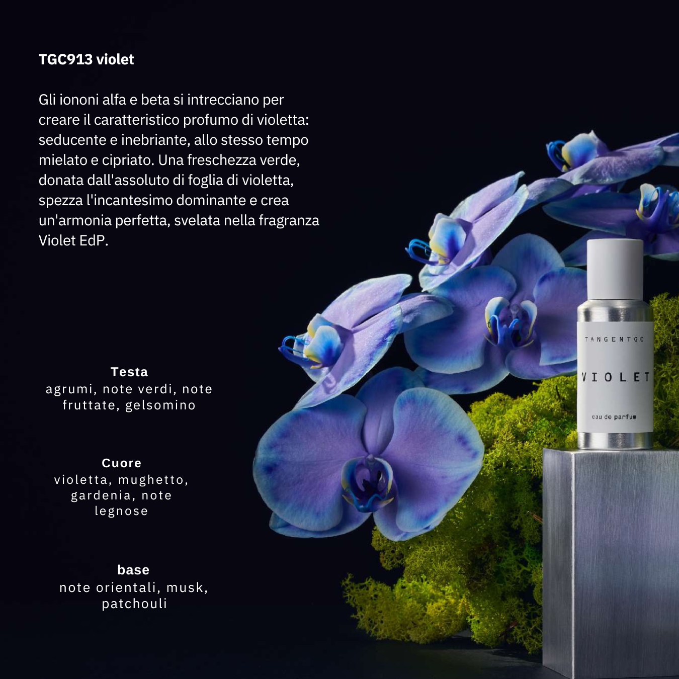 TangentGC - Profumo Violet EdP - 50 mL