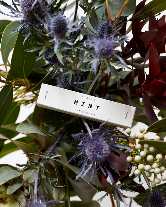 TangentGC - Mint Lip Balm bio- 20 mL